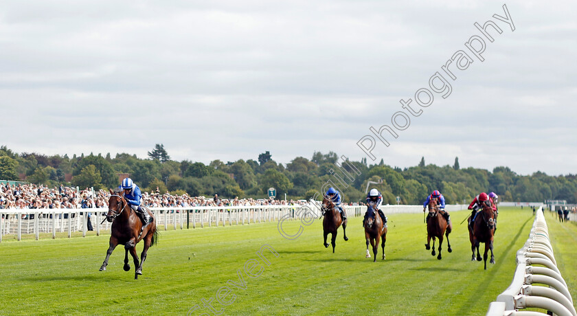 Baaeed-0005 
 BAAEED (Jim Crowley) wins The Juddmonte International Stakes
York 17 Aug 2022 - Pic Steven Cargill / Racingfotos.com