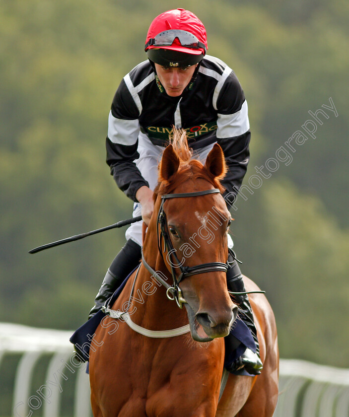 Awesome-0001 
 AWESOME (Adam Kirby) winner of The Bloodwise Big Welsh Car Show Fillies Novice Stakes Chepstow 6 Sep 2017 - Pic Steven Cargill / Racingfotos.com