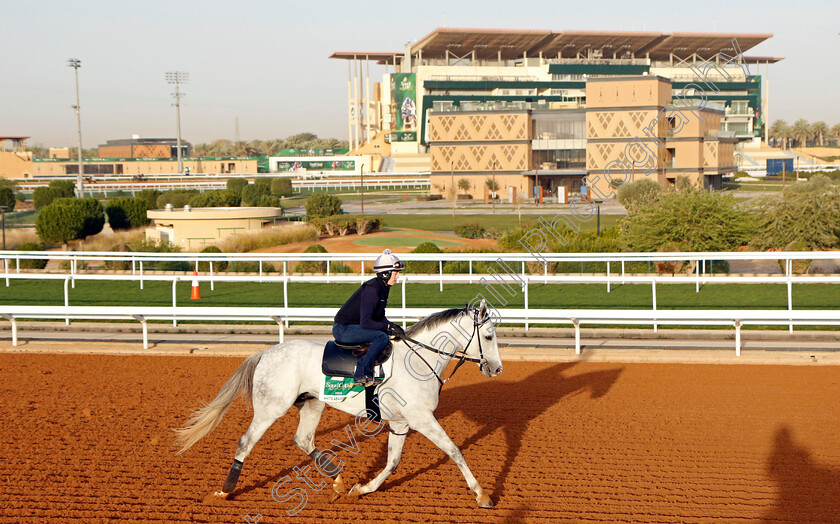 White-Abarrio-0005 
 WHITE ABARRIO training for The Saudi Cup
King Abdulaziz Racecourse, Saudi Arabia 20 Feb 2024 - Pic Steven Cargill / Racingfotos.com