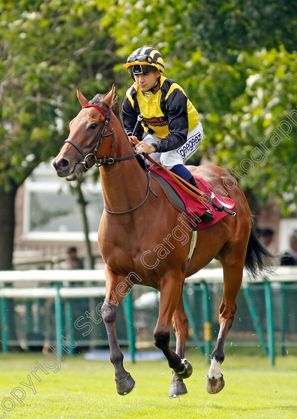 Zouky-0009 
 ZOUKY (Marco Ghiani) winner of The British EBF Fillies Novice Stakes
Haydock 2 Sep 2022 - Pic Steven Cargill / Racingfotos.com