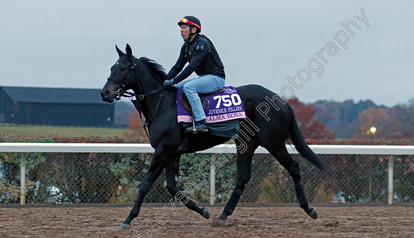 Alma-Rosa-0001 
 ALMA ROSA training for the Breeders' Cup Juvenile Fillies
Keeneland, USA 31 Oct 2022 - Pic Steven Cargill / Racingfotos.com