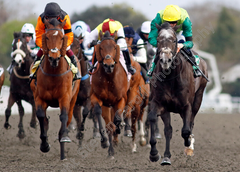 Ferrous-0004 
 FERROUS (David Probert) wins The Virgin Bet Fives Handicap
Kempton 6 Apr 2024 - Pic Steven Cargill / Racingfotos.com