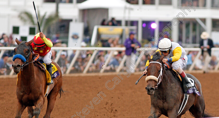 Forever-Unbridled-0005 
 FOREVER UNBRIDLED (right, John Velazquez) beats ABEL TASMAN (left) in The Breeders' Cup Distaff, Del Mar USA 3 Nov 2017 - Pic Steven Cargill / Racingfotos.com