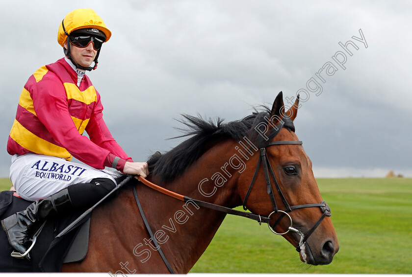 Devoted-Poet 
 DEVOTED POET (Jack Mitchell)
Newmarket 29 Oct 2021 - Pic Steven Cargill / Racingfotos.com