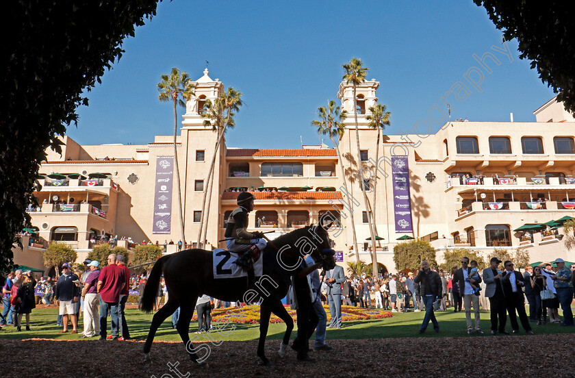 Del-Mar-0008 
 In the paddock at Del Mar USA 2 Nov 2017 - Pic Steven Cargill / Racingfotos.com