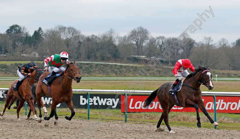 Lua-De-Mel-0002 
 LUA DE MEL (Ben Curtis) beats MOUNT MOGAN (left) in The Betway Novice Median Auction Stakes
Lingfield 10 Jan 2020 - Pic Steven Cargill / Racingfotos.com