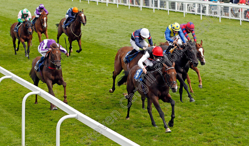 Megallan-0006 
 MEGALLAN (Robert Havlin) beats PEROTTO (left) in The D & N Construction Sovereign Stakes
Salisbury 12 Aug 2021 - Pic Steven Cargill / Racingfotos.com