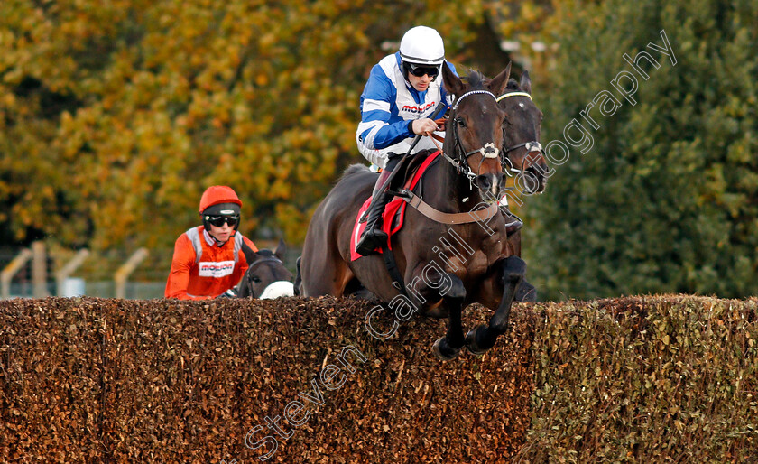 Frodon-0001 
 FRODON (Sam Twiston-Davies) Sandown 12 Nov 2017 - Pic Steven Cargill / Racingfotos.com