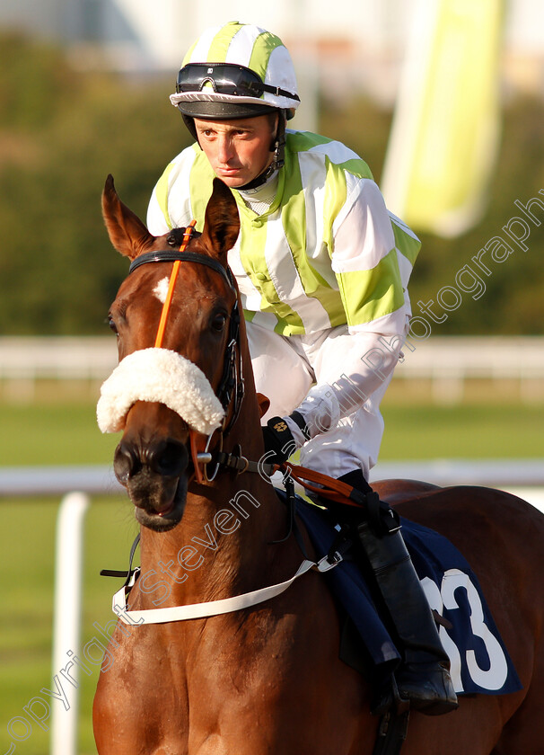 Lady-Rouda-0001 
 LADY ROUDA (Duran Fentiman) 
Wolverhampton 5 Sep 2018 - Pic Steven Cargill / Racingfotos.com