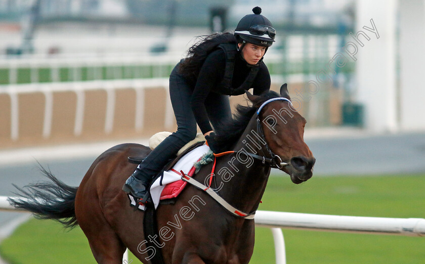 Good-Fortune-0003 
 GOOD FORTUNE training at the Dubai Racing Carnival 
Meydan 4 Jan 2024 - Pic Steven Cargill / Racingfotos.com