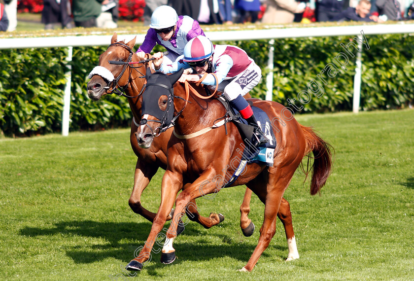 Stay-Classy-0002 
 STAY CLASSY (right, David Egan) beats STRICT TEMPO (left) in The British Stallion Studs EBF Carrie Red Fillies Nursery
Doncaster 13 Sep 2018 - Pic Steven Cargill / Racingfotos.com