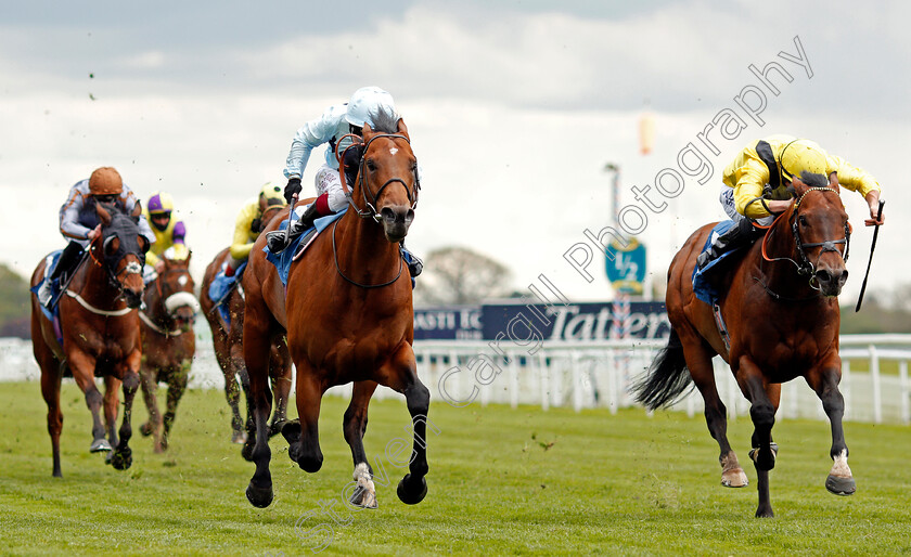 Starman-0005 
 STARMAN (left, Oisin Murphy) beats NAHAARR (right) in The Duke Of York Clipper Logistics Stakes
York 12 May 2021 - Pic Steven Cargill / Racingfotos.com