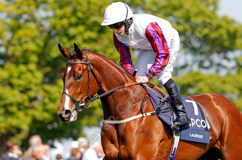 Laurens-0002 
 LAURENS (P J McDonald) Newmarket 6 May 2018 - Pic Steven Cargill / Racingfotos.com