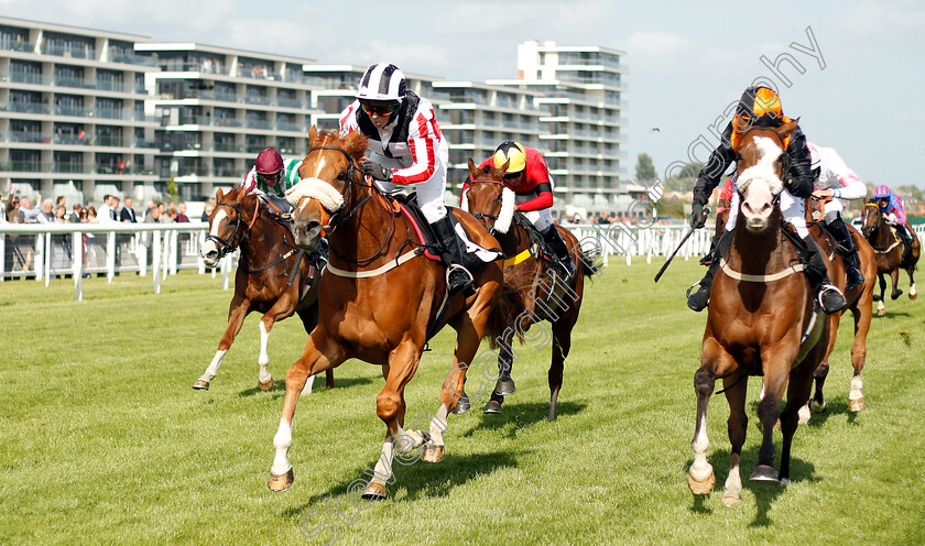 Windsorlot-0003 
 WINDSORLOT (left, Sarah Bowen) beats LOVING YOUR WORK (right) in The Wiser Academy Amateur Riders Handicap
Newbury 14 Jun 2018 - Pic Steven Cargill / Racingfotos.com