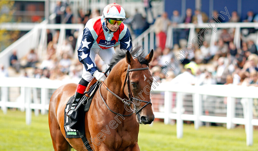 Sir-Dancealot-0002 
 SIR DANCEALOT (Gerald Mosse)
Newbury 17 Aug 2019 - Pic Steven Cargill / Racingfotos.com