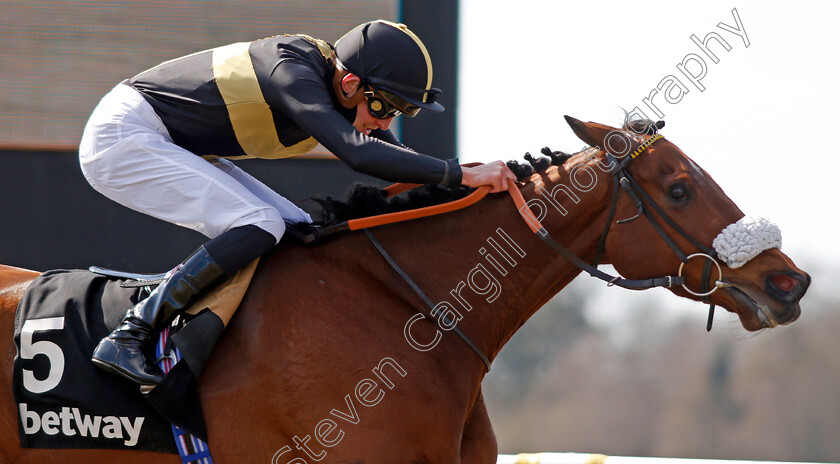 Ranch-Hand-0003 
 RANCH HAND (James Doyle) wins The Betway All-weather Marathon Championships Conditions Stakes
Lingfield 2 Apr 2021 - Pic Steven Cargill / Racingfotos.com