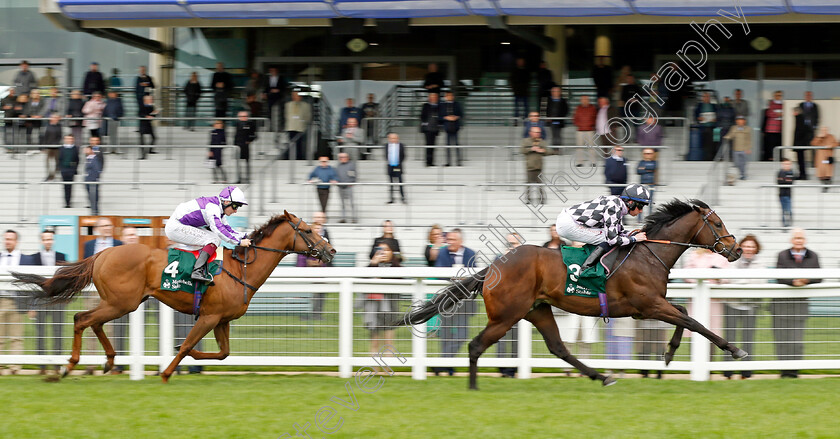 Go-Bears-Go-0006 
 GO BEARS GO (Rossa Ryan) beats HIERARCHY (left) in The Merriebelle Stable Commonwealth Cup Trial Stakes
Ascot 27 Apr 2022 - Pic Steven Cargill / Racingfotos.com