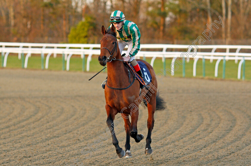 Genuinely-Crowded-0001 
 GENUINELY CROWDED (Aaron Jones) Lingfield 10 Jan 2018 - Pic Steven Cargill / Racingfotos.com