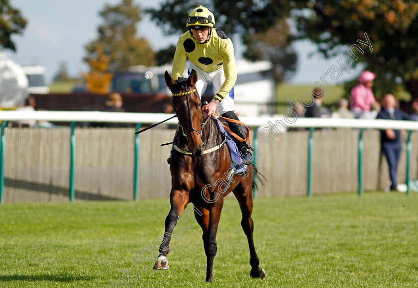 Novakai-0001 
 NOVAKAI (Clifford Lee)
Newmarket 29 Sep 2023 - Pic Steven Cargill / Racingfotos.com