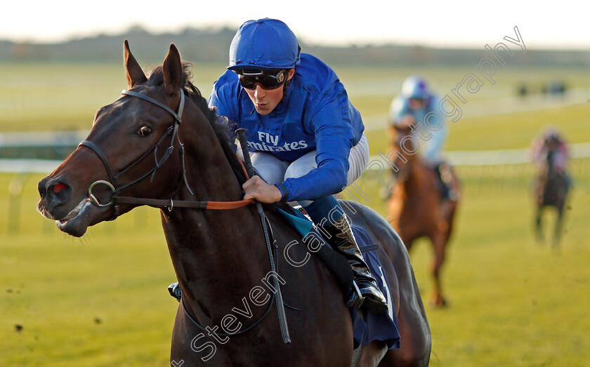 Brundtland-0005 
 BRUNDTLAND (William Buick) wins The Discover Newmarket Maiden Stakes Newmarket 25 Oct 2017 - Pic Steven Cargill / Racingfotos.com