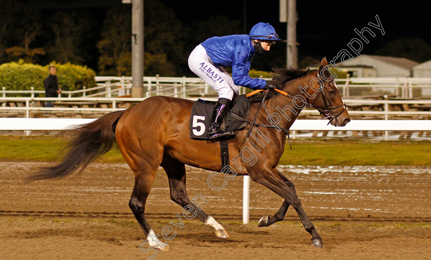 First-Target-0001 
 FIRST TARGET (Pat Cosgrave)
Chelmsford 15 Oct 2020 - Pic Steven Cargill / Racingfotos.com