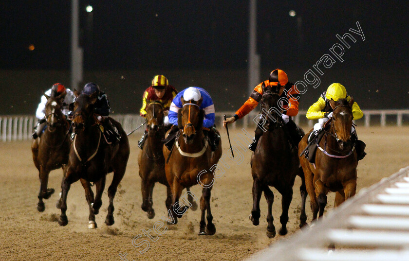 Always-A-Drama-0001 
 ALWAYS A DRAMA (right, Cieren Fallon) wins The Bet toteexacta At totesport.com Fillies Handicap
Chelmsford 21 Feb 2019 - Pic Steven Cargill / Racingfotos.com