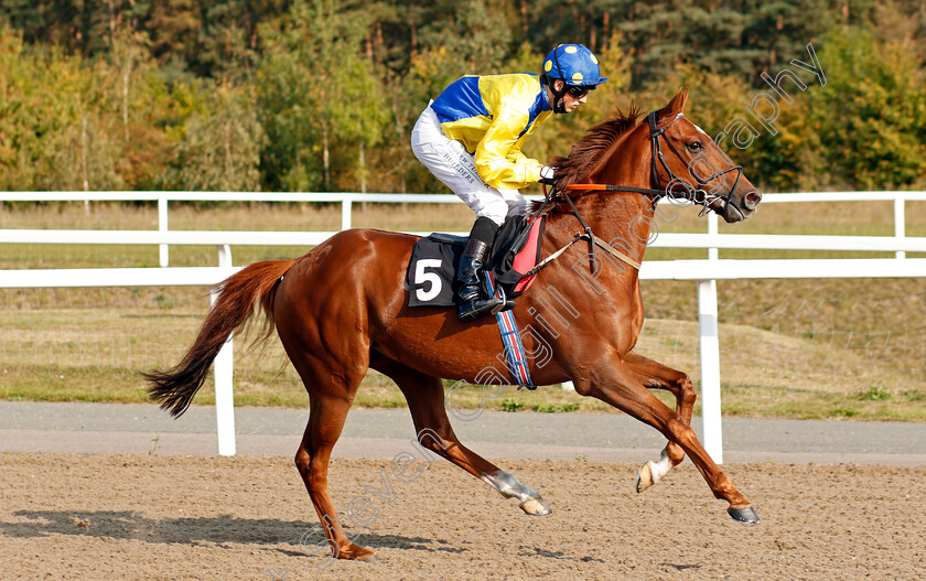 Zefferino-0001 
 ZEFFERINO (George Wood)
Chelmsford 20 Sep 2020 - Pic Steven Cargill / Racingfotos.com