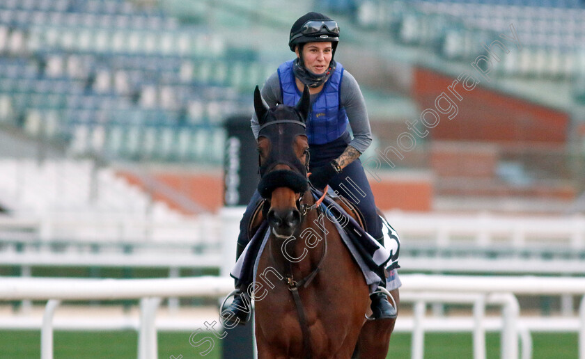 Hala-Abrar-0001 
 HALA ABRAR training at the Dubai Racing Carnival 
Meydan 4 Jan 2024 - Pic Steven Cargill / Racingfotos.com