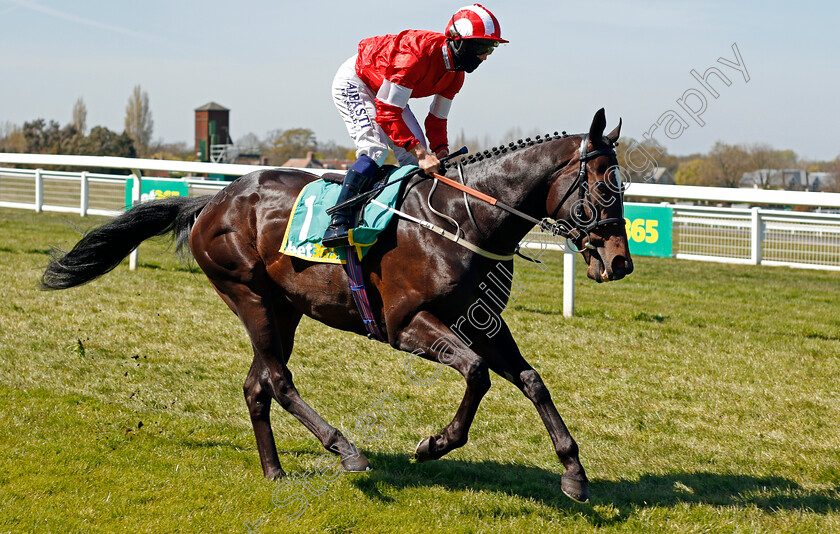 Naamoos-0001 
 NAAMOOS (Ben Curtis) winner of The bet365 Esher Cup
Sandown 23 Apr 2021 - Pic Steven Cargill / Racingfotos.com