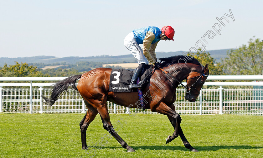 English-Oak-0001 
 ENGLISH OAK (James Doyle)
Goodwood 30 Jul 2024 - Pic Steven Cargill / Racingfotos.com