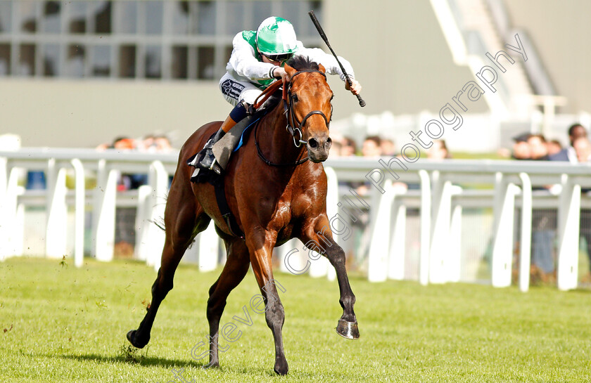 Mountain-Angel-0003 
 MOUNTAIN ANGEL (David Egan) wins The Manny Mercer Apprentice Handicap Ascot 2 May 2018 - Pic Steven Cargill / Racingfotos.com