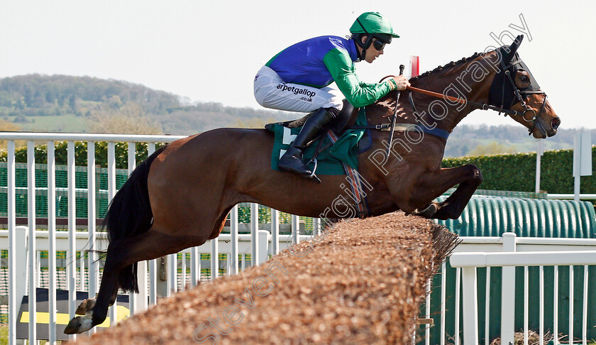 Midnight-Target-0002 
 MIDNIGHT TARGET (Lee Edwards) wins The EBF / TBA Mares Novices Handicap Chase Cheltenham 19 Apr 2018 - Pic Steven Cargill / Racingfotos.com