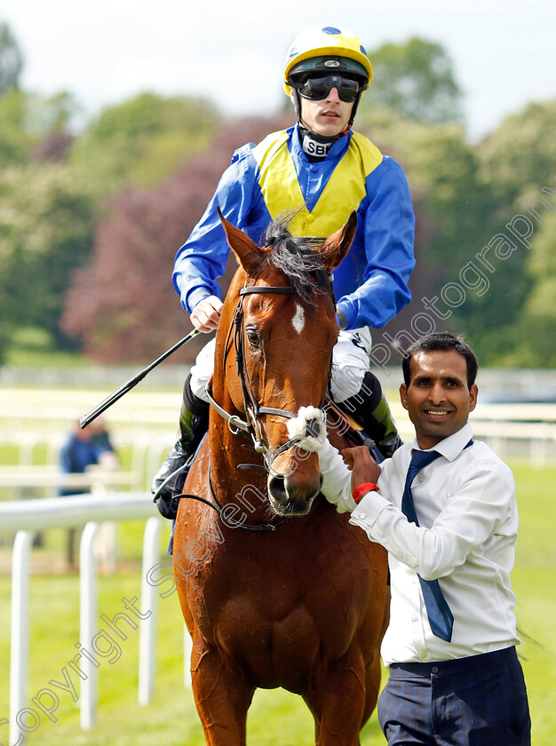 Desert-Crown-0010 
 DESERT CROWN (Richard Kingscote) after The Al Basti Equiworld Dubai Dante Stakes
York 12 May 2022 - Pic Steven Cargill / Racingfotos.com