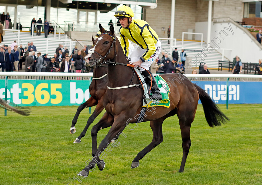 Bright-Diamond-0001 
 BRIGHT DIAMOND (Clifford Lee)
Newmarket 7 Oct 2022 - Pic Steven Cargill / Racingfotos.com