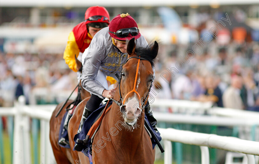 Geopolitic-0001 
 GEOPOLITIC (Ryan Moore)
Doncaster 10 Sep 2021 - Pic Steven Cargill / Racingfotos.com