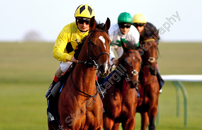 Monsieur-Lambrays-0001 
 MONSIEUR LAMBRAYS (Andrea Atzeni)
Newmarket 24 Oct 2018 - Pic Steven Cargill / Racingfotos.com