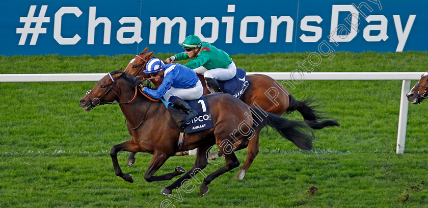 Anmaat-0006 
 ANMAAT (Jim Crowley) wins The Qipco Champion Stakes
Ascot 19 Oct 2024 - Pic Steven Cargill / Racingfotos.com