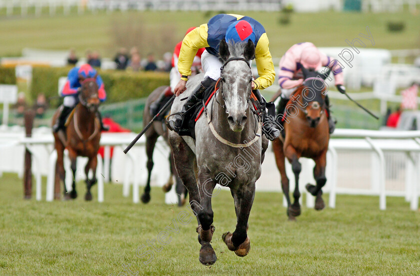 Guitar-Pete-0002 
 GUITAR PETE (Ryan Day) wins The Caspian Caviar Gold Cup Cheltenham 16 Dec 2017 - Pic Steven Cargill / Racingfotos.com