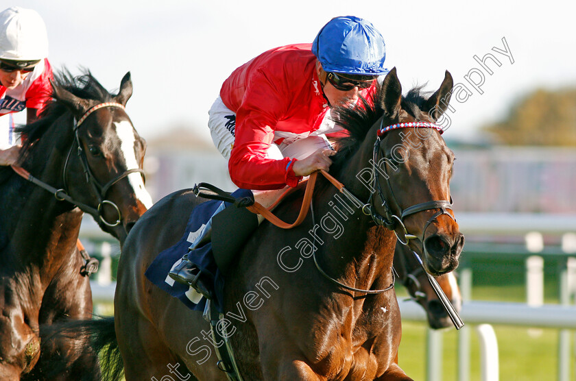 Tallow-0003 
 TALLOW (Jim Crowley) wins The Betfred Mobile Cock O'The North EBF Maiden Stakes Div2 Doncaster 11 Nov 2017 - Pic Steven Cargill / Racingfotos.com