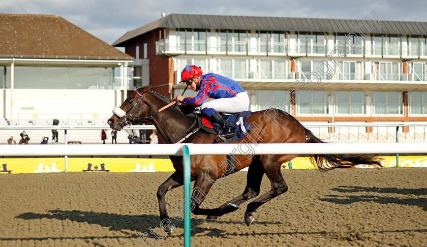 Lord-Of-The-Lodge-0003 
 LORD OF THE LODGE (Pierre-Louis Jamin) wins The Bombardier All-Weather Championships Apprentice Handicap
Lingfield 2 Apr 2021 - Pic Steven Cargill / Racingfotos.com