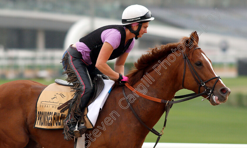 Promises-Fulfilled-0001 
 PROMISES FULFILLED training for the Dubai Golden Shaheen
Meydan 27 Mar 2019 - Pic Steven Cargill / Racingfotos.com