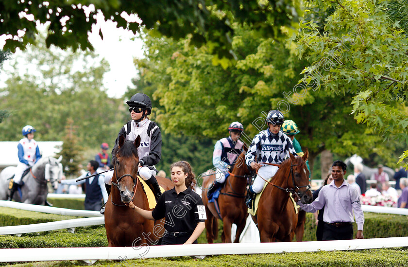 Briyouni-0002 
 BRIYOUNI (Charlotte Bennett)
Kempton 10 Jul 2019 - Pic Steven Cargill / Racingfotos.com