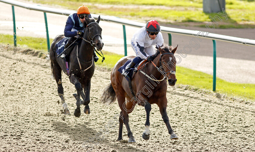 Golden-Mayflower-0006 
 GOLDEN MAYFLOWER (Silvestre De Sousa) wins The Coral EBF Fillies Restricted Novice Stakes
Lingfield 28 Oct 2021 - Pic Steven Cargill / Racingfotos.com