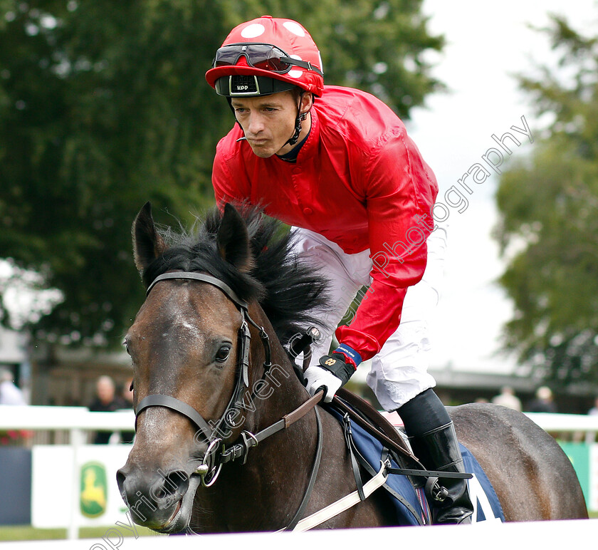 Hurstwood-0001 
 HURSTWOOD (David Allan)
Newmarket 11 Jul 2019 - Pic Steven Cargill / Racingfotos.com