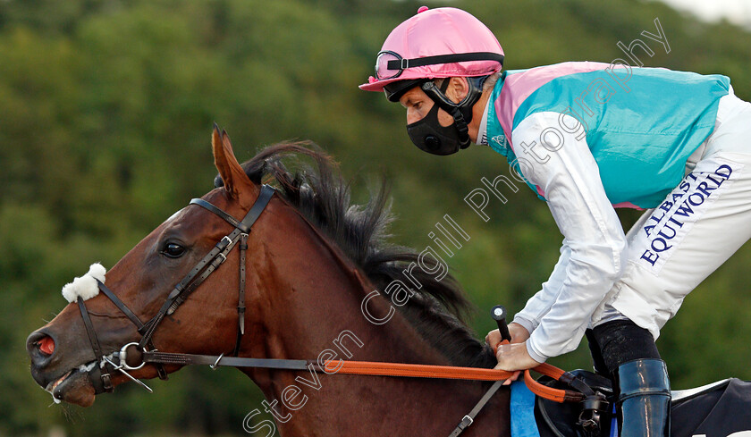 Society-Lion-0002 
 SOCIETY LION (Pat Dobbs)
Chelmsford 22 Aug 2020 - Pic Steven Cargill / Racingfotos.com