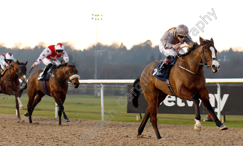 Eglish-0004 
 EGLISH (Ben Curtis) wins The Ladbrokes Football Acca Boosty Handicap
Wolverhampton 20 Jan 2020 - Pic Steven Cargill / Racingfotos.com