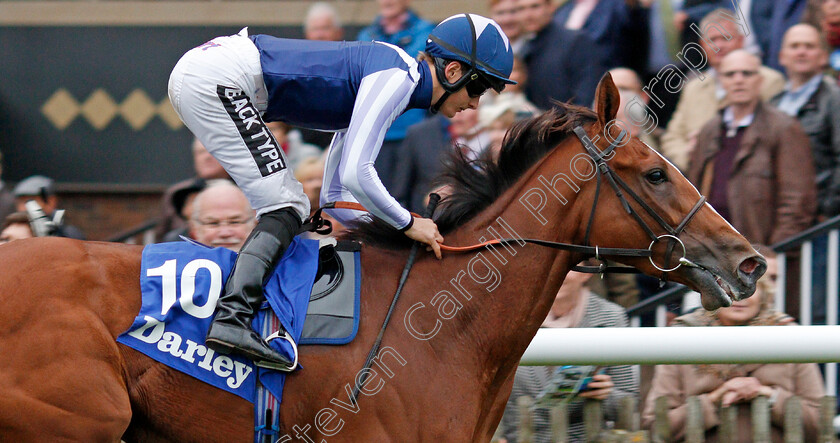 Feliciana-De-Vega-0006 
 FELICIANA DE VEGA (Harry Bentley) wins The Darley Stakes
Newmarket 12 Oct 2019 - Pic Steven Cargill / Racingfotos.com