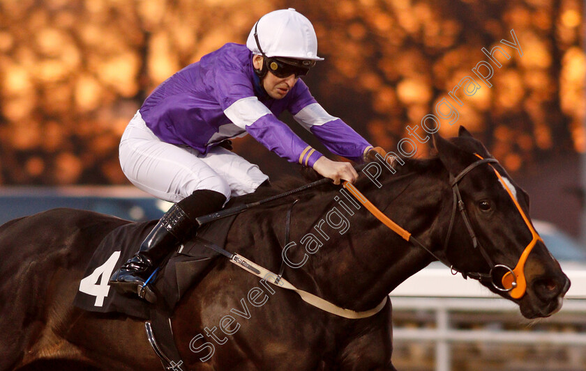 Fen-Breeze-0006 
 FEN BREEZE (Nicky Mackay) wins The £20 Free Bets At totesport.com Novice Stakes
Chelmsford 20 Feb 2019 - Pic Steven Cargill / Racingfotos.com