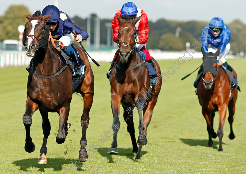 Maybe-Today-0005 
 MAYBE TODAY (William Buick) beats LITIGIOUS (centre) in The British EBF Premier Fillies Handicap
Doncaster 11 Sep 2019 - Pic Steven Cargill / Racingfotos.com