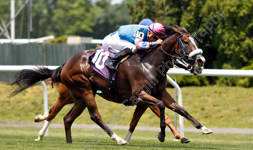 Noble-Jewel-0003 
 NOBLE JEWEL (Joel Rosario) wins Maiden
Belmont Park USA 7 Jun 2019 - Pic Steven Cargill / Racingfotos.com